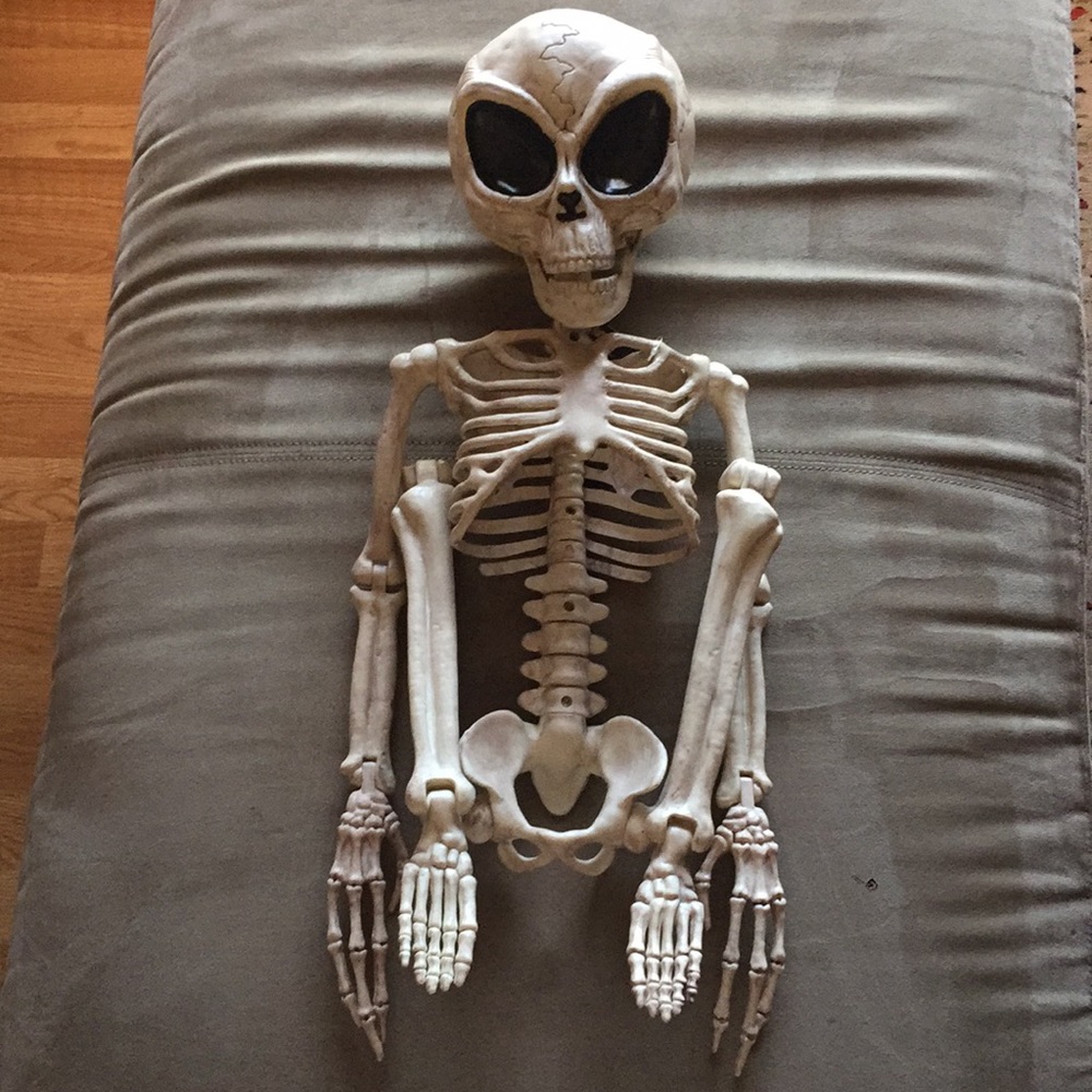 Alien Skeleton